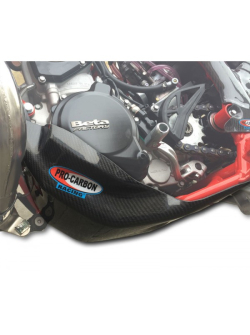 PRO-CARBON RACING Beta Bashplate - RR 250/300 2013-19