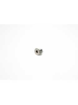 CLAKE Bleed Port Screw AA0179-1-1