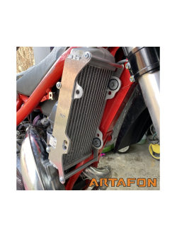 ARTAFON BETA XTRAINER 2022-2015 RADIATOR GUARDS RG14